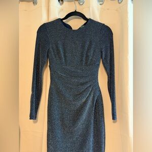 Ralph Lauren Navy Long Sleeve Dress